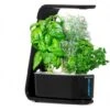 AeroGarden Black Sprout: Indoor Garden With LED Grow Light For Fresh Herbs & Veggies