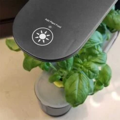 AeroGarden Black Sprout: Indoor Garden With LED Grow Light For Fresh Herbs & Veggies -Electronics Store aerogarden black sprout 2020 model 4