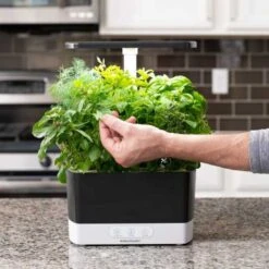 AeroGarden Harvest Indoor Garden: Grow Fresh Herbs & Vegetables All Year Round -Electronics Store aerogarden harvest indoor garden with led grow light black 2