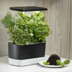 AeroGarden Harvest Indoor Garden: Grow Fresh Herbs & Vegetables All Year Round -Electronics Store aerogarden harvest indoor garden with led grow light black 7