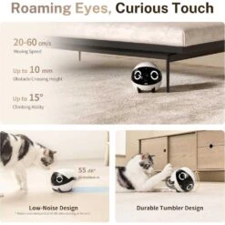 Enabot EBO ROLA Mini 2K Camera Robot: Mobile Security Camera, 25-Day Battery, Two-Way Audio & Remote Control -Electronics Store enabot ebo rola mini 2k camera robot mobile security camera 25 day battery two way audio remote control 3