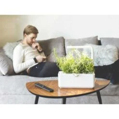 Click & Grow Smart Garden: Effortless Indoor Gardening -Electronics Store garden smart garden 3 for indoor gardening smart garden 3 is an indoor garden that allows you to grow your herbs easily origin e 3