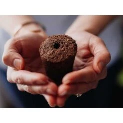 Click & Grow Smart Garden: Effortless Indoor Gardening -Electronics Store garden smart garden 3 for indoor gardening smart garden 3 is an indoor garden that allows you to grow your herbs easily origin e 5