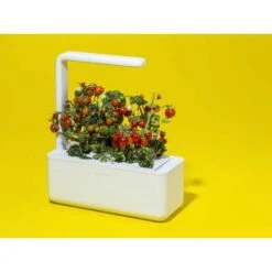 Click & Grow Smart Garden: Effortless Indoor Gardening -Electronics Store garden smart garden 3 for indoor gardening smart garden 3 is an indoor garden that allows you to grow your herbs easily origin e 6