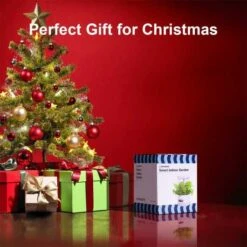 FAFAGRASS Hydroponics Growing System: Indoor Garden With Adjustable Full-Spectrum LED Light -Electronics Store indoor garden hydroponics growing system plant germination kit fafagrass herb garden kit vegetable growth lamp countertop 6