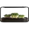 Grow Fresh Microgreens Easily At Home | Ingarden Hydroponic Superfood Kit With LED Lights