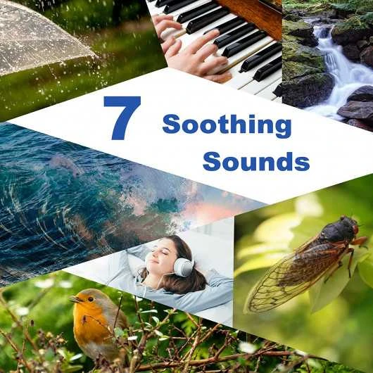 Kids Alarm Clock - Sleep Trainer, Night Light & Sound Machine, Perfect Gift 2 Kids Alarm Clock - Sleep Trainer, Night Light & Sound Machine, Perfect Gift - Image 2