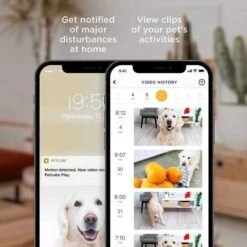 Petcube Bites 2: Smart Pet Camera With Treat Dispenser And Two-Way Audio -Electronics Store petcube bites 2 the pet surveillance camera 2