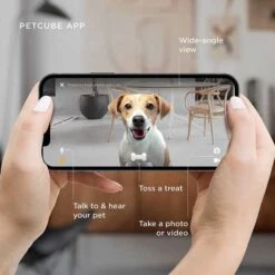 Petcube Bites 2: Smart Pet Camera With Treat Dispenser And Two-Way Audio -Electronics Store petcube bites 2 the pet surveillance camera 5