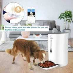 WOPET SmartFeeder: Your Pet's Nutrition, Smartly Automated
